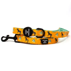 'Party Marty' - Zebra Dog Lead