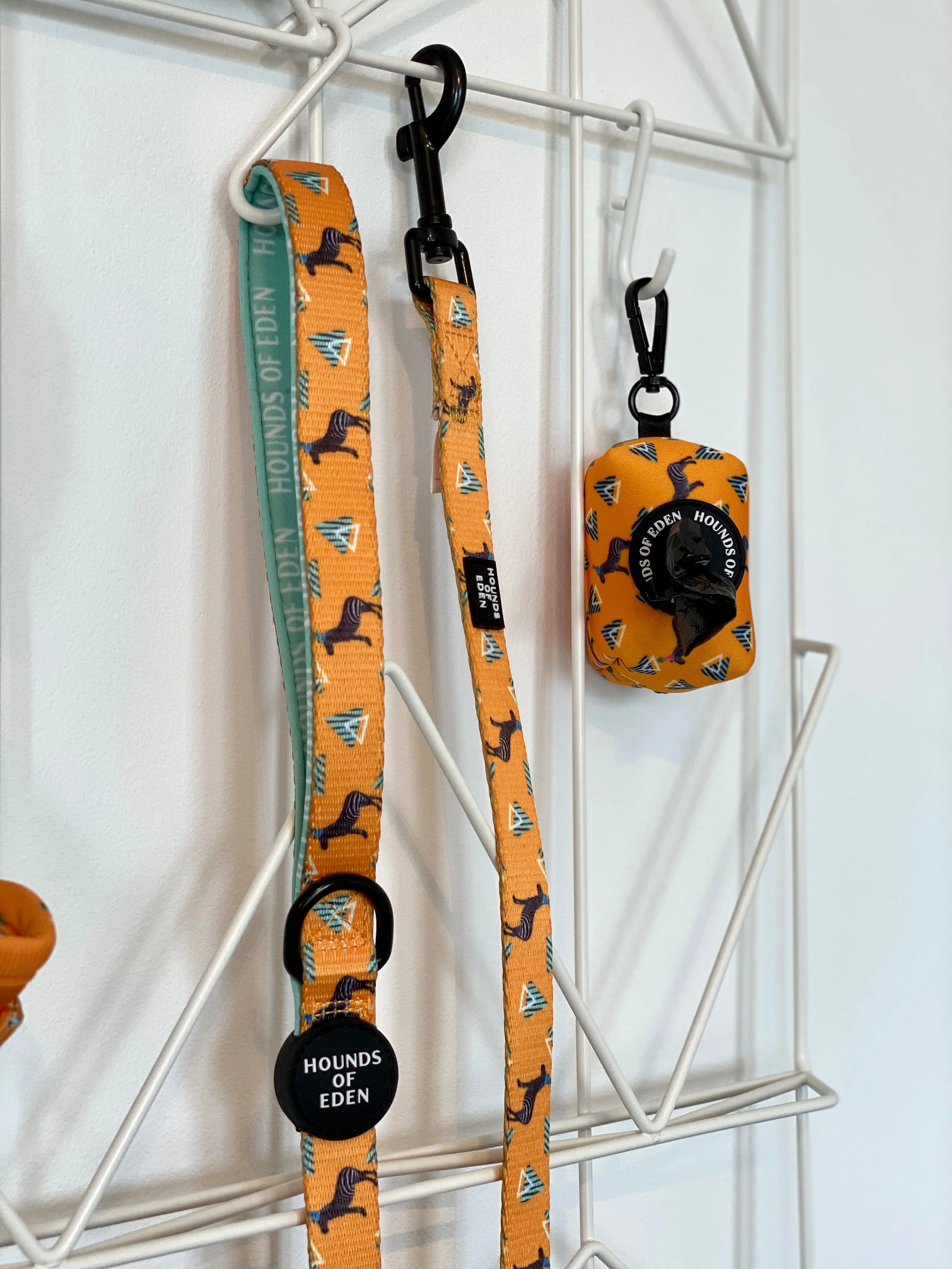 'Party Marty' - Zebra Dog Lead
