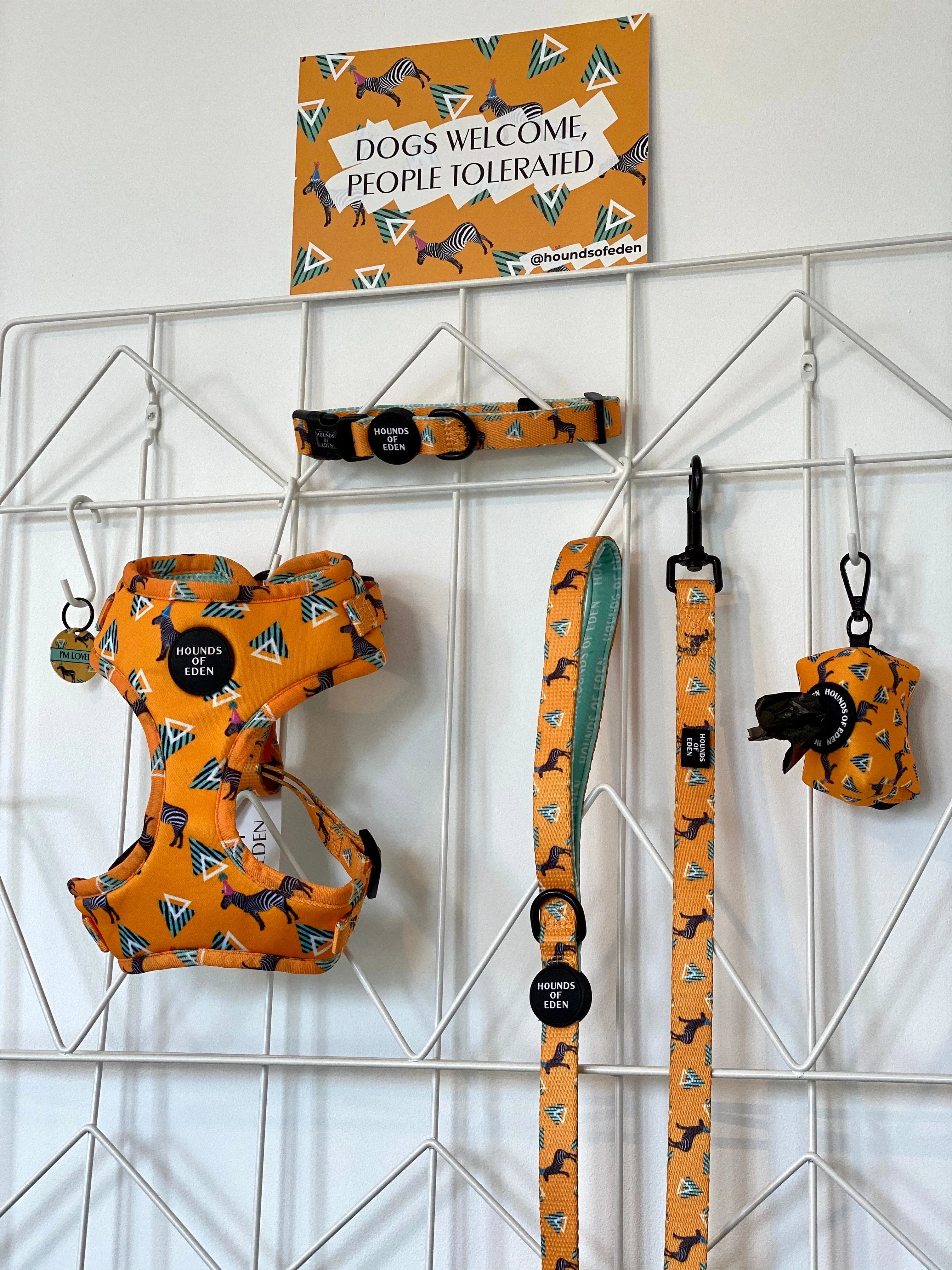 'Party Marty' - Zebra Dog Lead